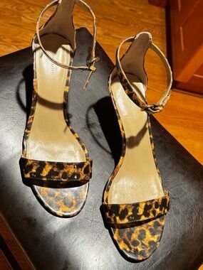 Ann Taylor Leopard-Print Ankle-Strap Heels in Brown and Black, Sz11